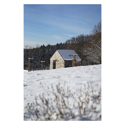 Ulita v zimních kabátě❄️ #egoe #ulita #zima #designbyegoe …