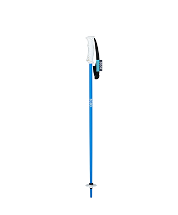 kids ski poles