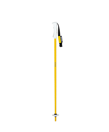 kids ski poles